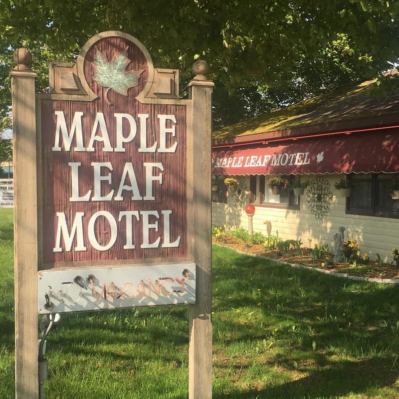 Maple Leaf Motel - Vintage Postcard